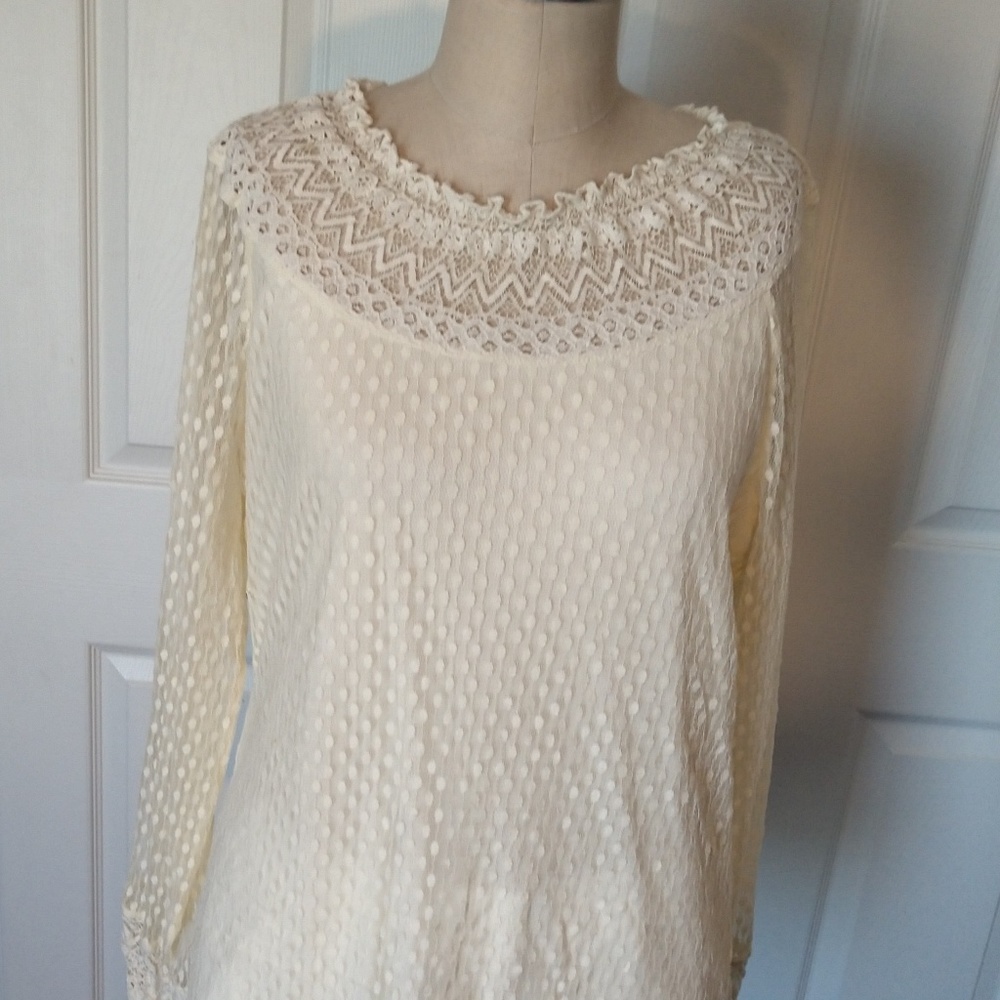 BELLE BIRD Cream Lace Blouse